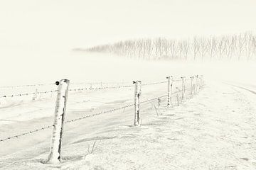 Winter day by Ellen Driesse