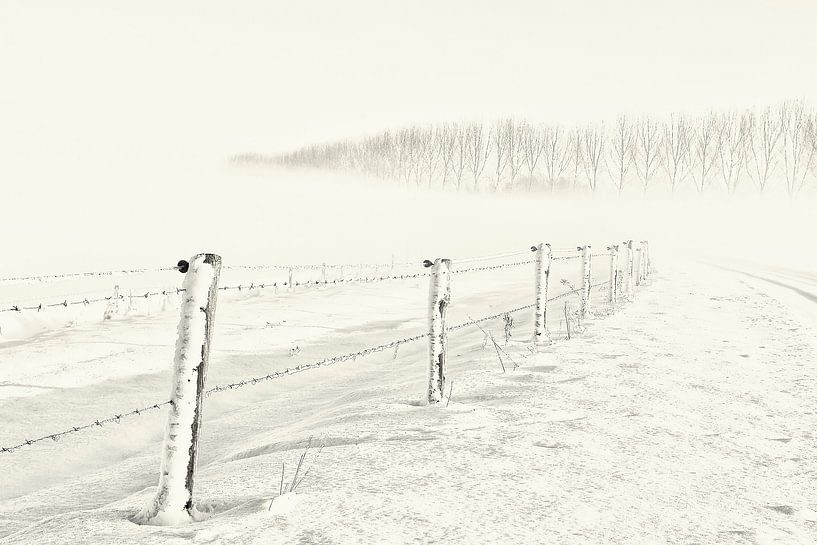 Wintertag von Ellen Driesse