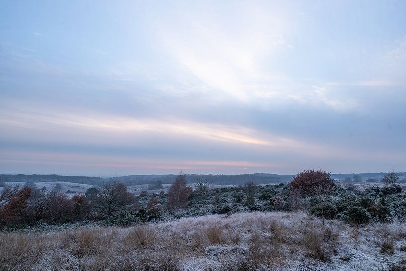 Winterlandschap op de Posbank van Arnold van Rooij