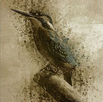 The kingfisher by Gisela- Art for You