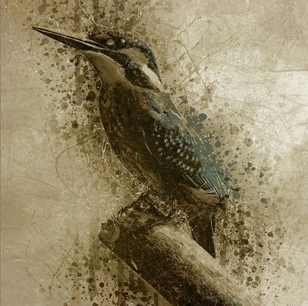 The kingfisher by Moonheart Artworks