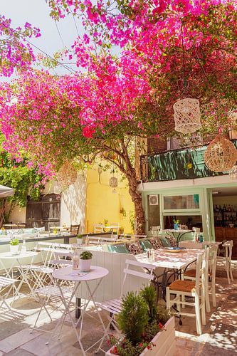 Summer time in Greece, colorful terrace with bougainvillea