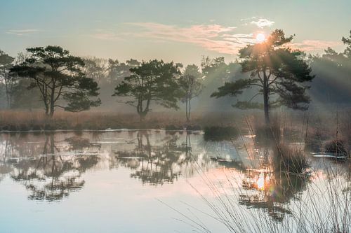 Hoogerheide Sunrise.