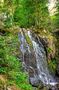Wasserfall in den Vogesen Cascade de Battion in einer Waldlandschaft von Sjoerd van der Wal Fotografie
