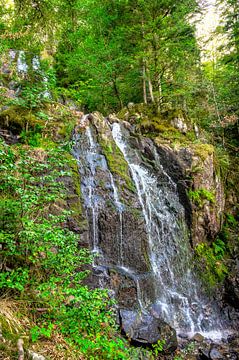 Waterval in de Vogezen Cascade de Battion in een boslandschap van Sjoerd van der Wal Fotografie