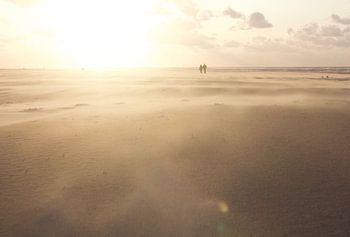 Promenade sur la plage