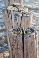 Detail van Zeeuwse paalhoofden