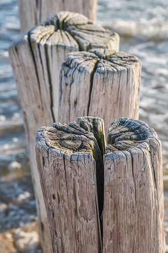 Detail van Zeeuwse paalhoofden
