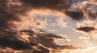 Red clouds and birds