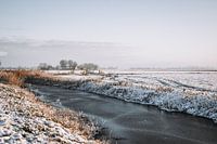 Besneewde Friese landschap