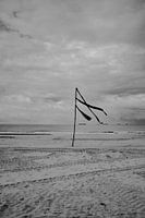 Drapeau sur la plage | Scheveningen Pays-Bas