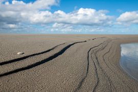 Raum, Wolken, Linien von Dan Photo Shaman