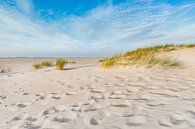 Stranddüne von Ursula Reins Miniaturansicht