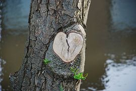 Tree love van Simone Leenders