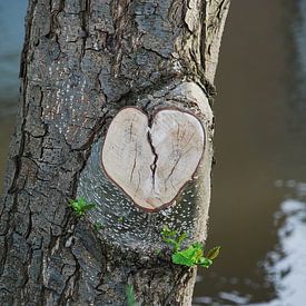 Tree love sur Simone Leenders