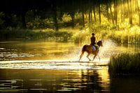 Horseback riding