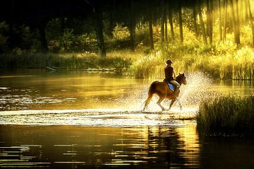 Horseback riding by Robert van der Borg