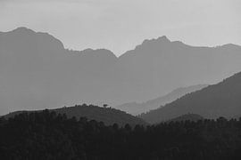 Bergen | fine art | black and white by Femke Ketelaar