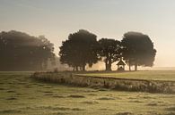 Morning atmosphere in Twente at the Kroezeboom by Ron Poot thumbnail