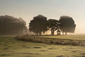 Ochtendsfeer in Twente bij de Kroezeboom van Ron Poot