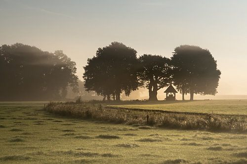 Ochtendsfeer in Twente bij de Kroezeboom