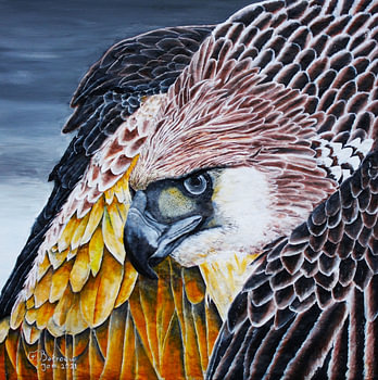 Comportement autoritaire d'un aigle