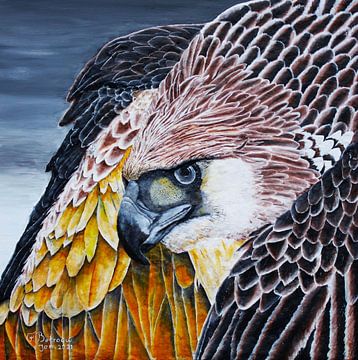 Bossy behavior of an eagle van Floris Betrouw