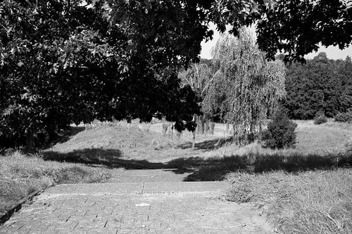 Ontdek de natuur in een bosrijk gebied in Emsland, Nedersaksen, Duitsland