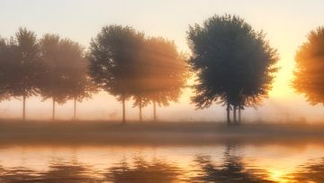 Elst Nederland van Rob van der Teen