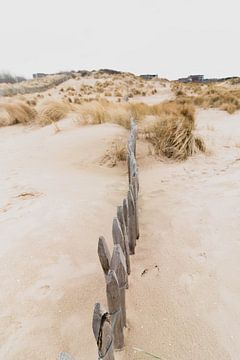 Dünen im Westduinpark in Scheveningen von Anne Zwagers