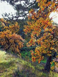 December Light And Shadow Umbria by Dorothy Berry-Lound