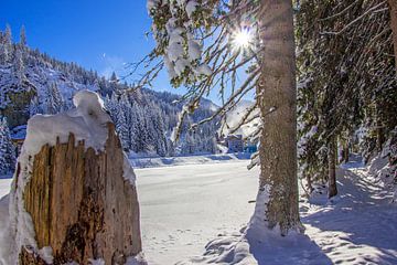 Winter sun over the Zauchensee