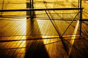 Goldene Schatten – Drahtgitter & Holzboden