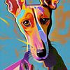 Podenco Freude von Karin van Bylevelt