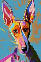 Joie de Podenco