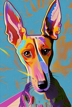 Podenco joy