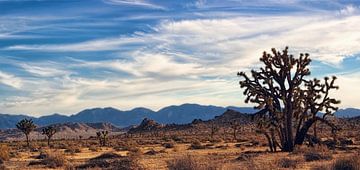 Earthsong - melodie van de Mojave van Chrystyne Novack Art and Photography