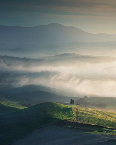 Mistig landschap in Volterra en een eenzame boom. Toscane, Italië