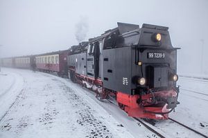Die Brockenbahn am Bahnhof Brocken (Sachsen-Anhalt)