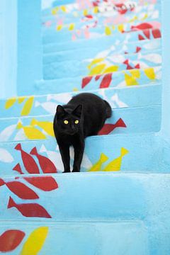 Deze vissen zijn van mij! - Zwarte kat op blauwe trap met vissenpatroon in Algarve, Portugal van Annette Hagemeijer