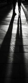 Shadow by Poster Art Shop