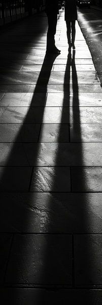 Schatten von Poster Art Shop