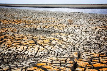 dry beach