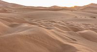 Sahara