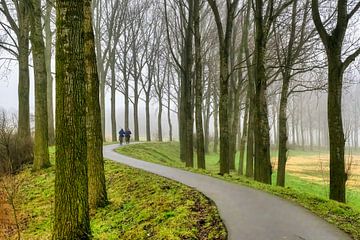 mist in Etten-Leur 2025 van Egon Zitter
