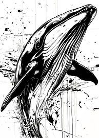 Schwarzer und weißer Wal #Wal