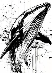 Black and white whale #whale