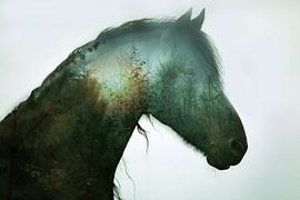 friesian horse "forest horse" by Kim van Beveren