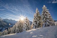 Zon en verse sneeuw in bergen van Oostenrijk