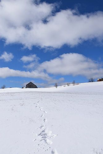 Een boerderij in het voorjaar